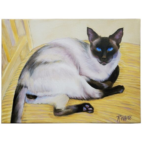 SIAMESE CAT PAINTING - Original Oil Painting by Robin White 12" x 16" on Canvas - Picture 1 of 8